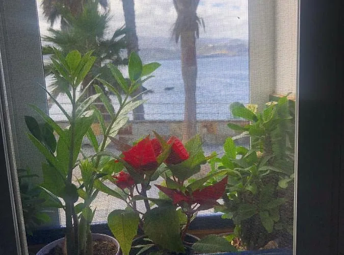 Apartament Natural Confital *