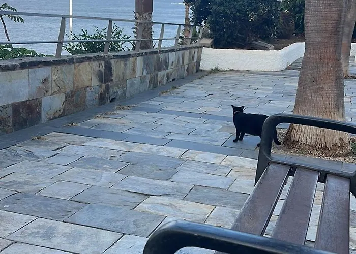 Apartment Natural Confital *